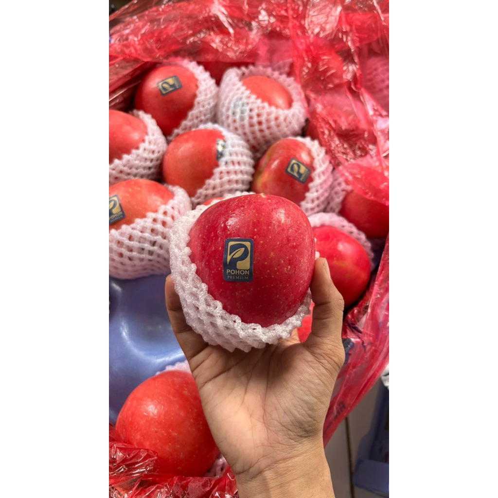 

Buah Apel Fuji Segar Renyah Manis – Fresh 900gr-1kg