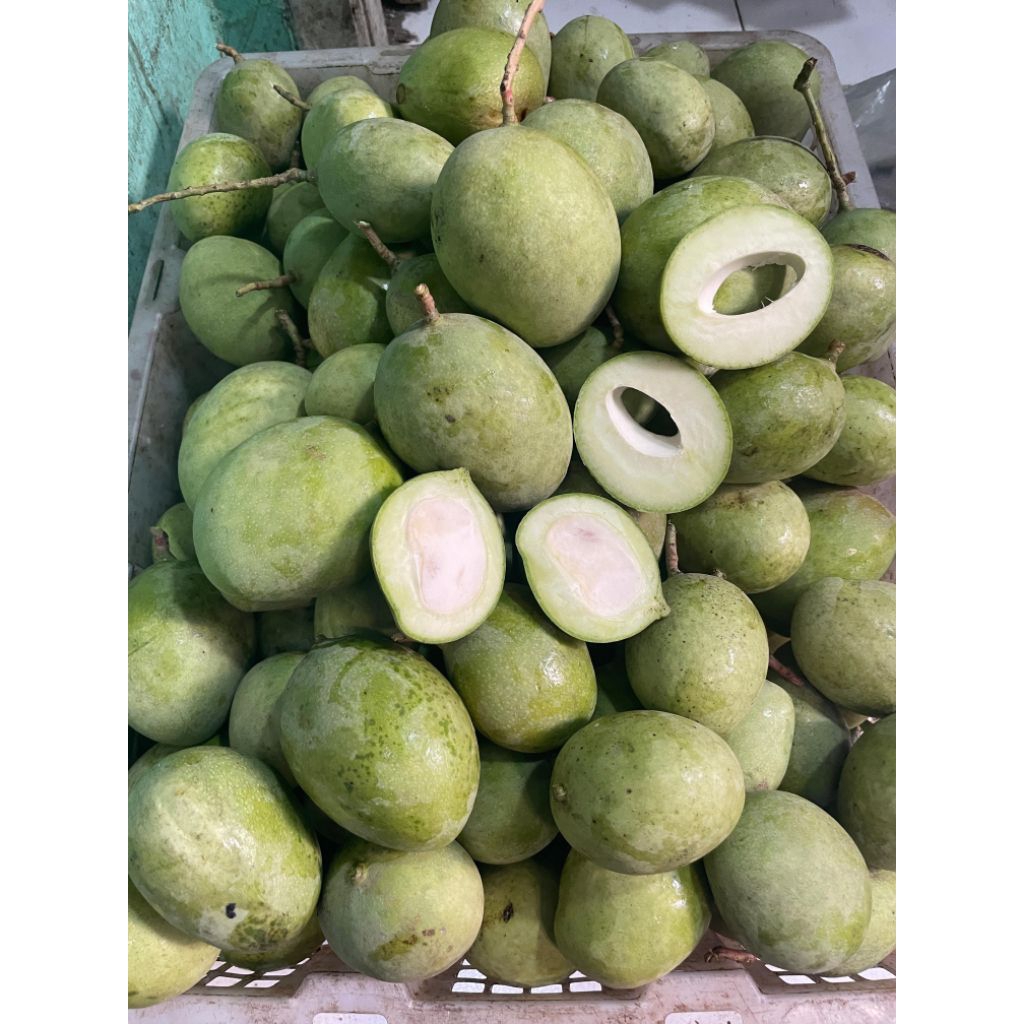 

Mangga Muda Belah Biji/Mangga telor (Mangga muda) 1 kg 1 produk. Fresh segar baru dipetik dari pohonya. cocok untuk rujakan, manisan, asinan.