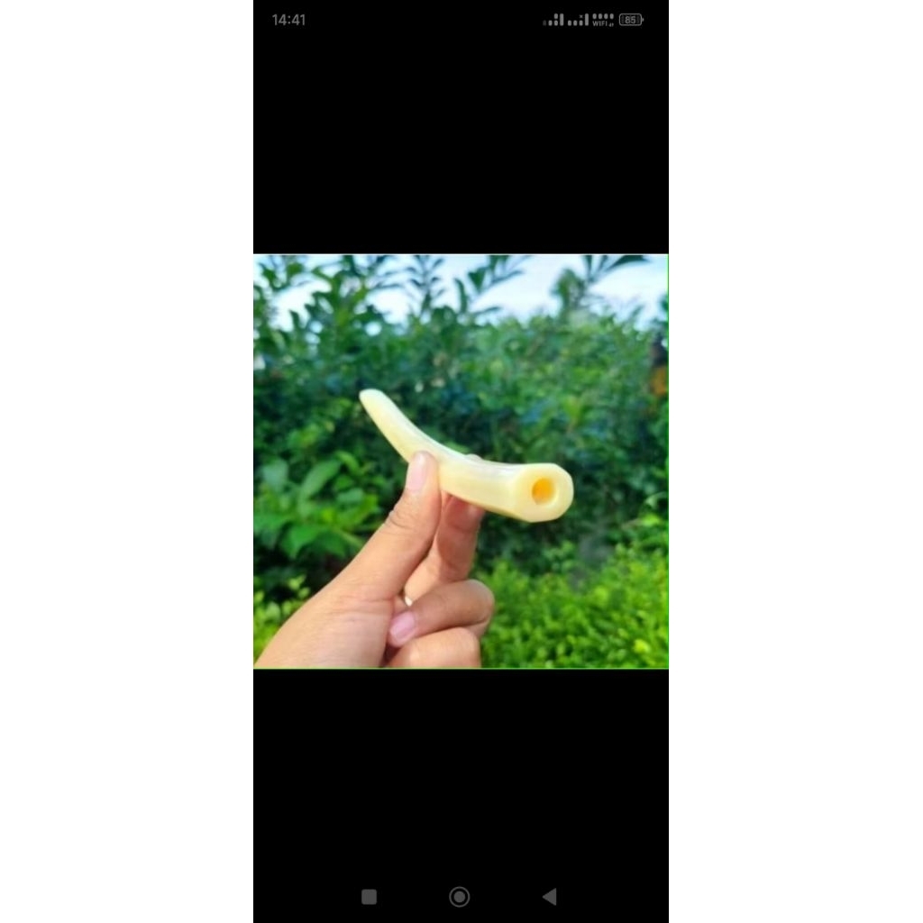 

pipaonce tulangsapi impor superan