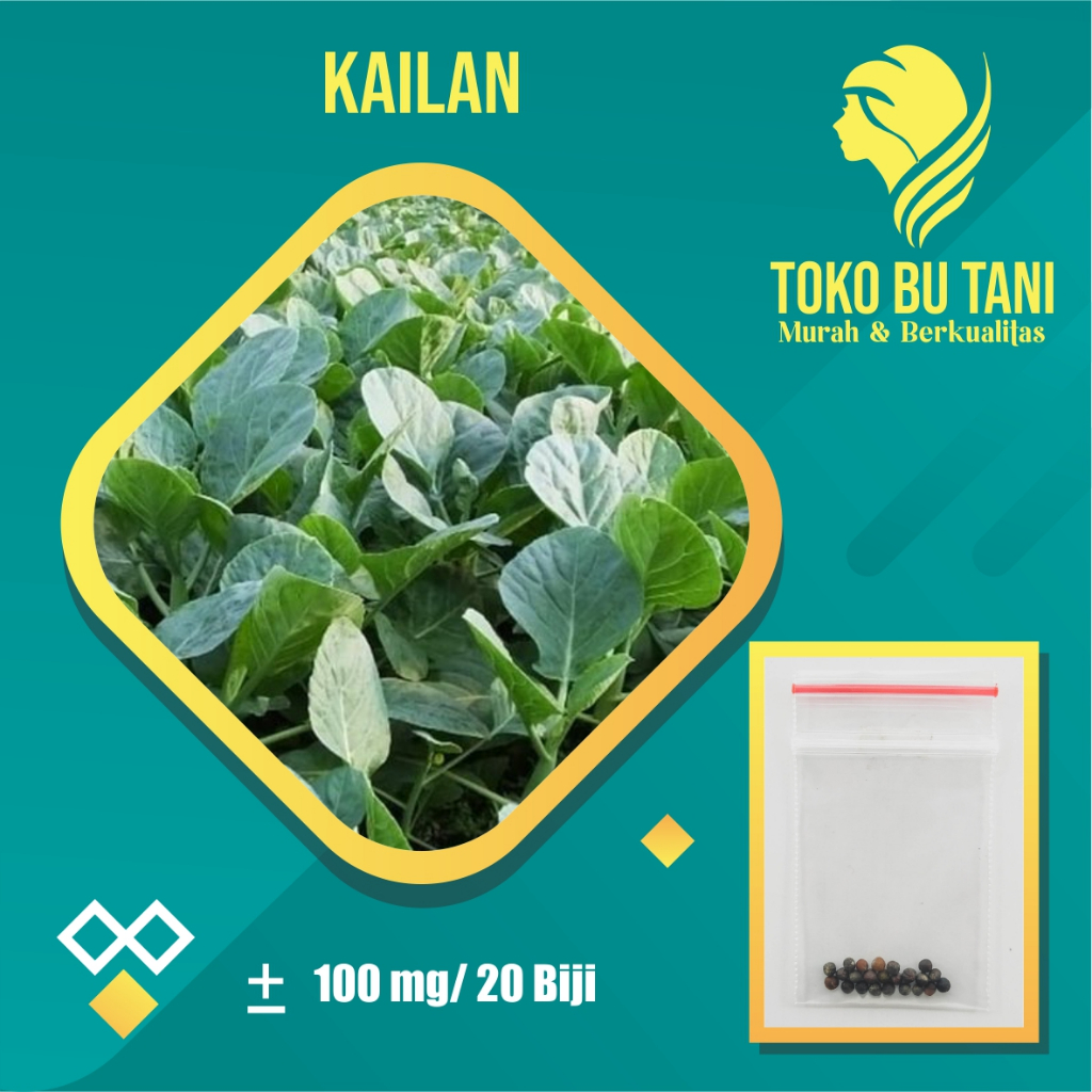 BTN Bibit Sayuran Sawi Kailan Benih Sayuran Sawi Kailan Bibit sayuran Berkualitas