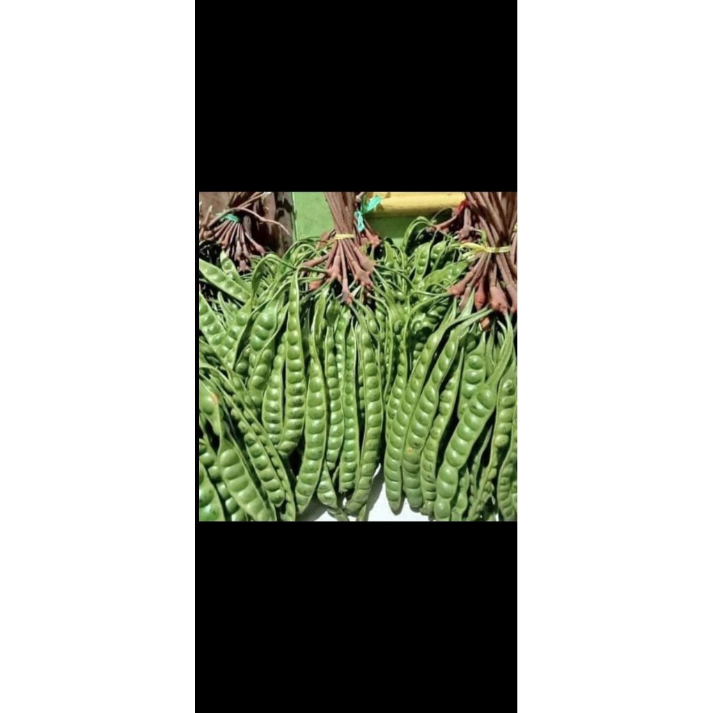 

paket hemat pete pati 10papan