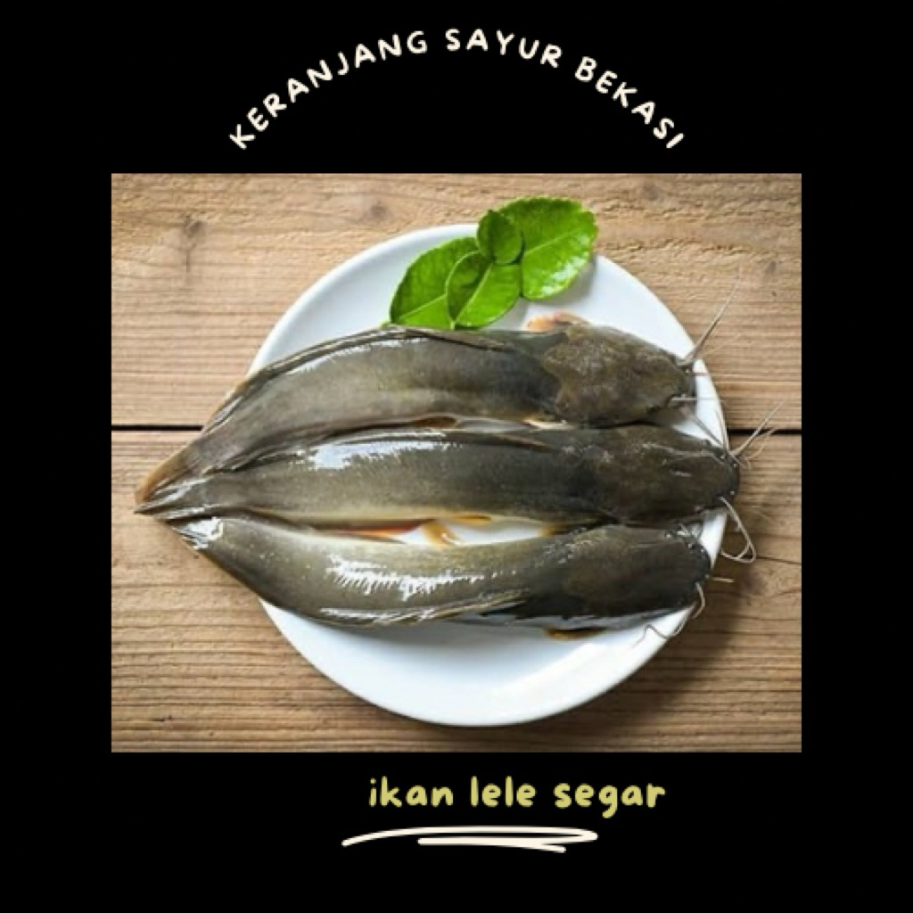 

ikan lele segar / keranjang sayur bekasi