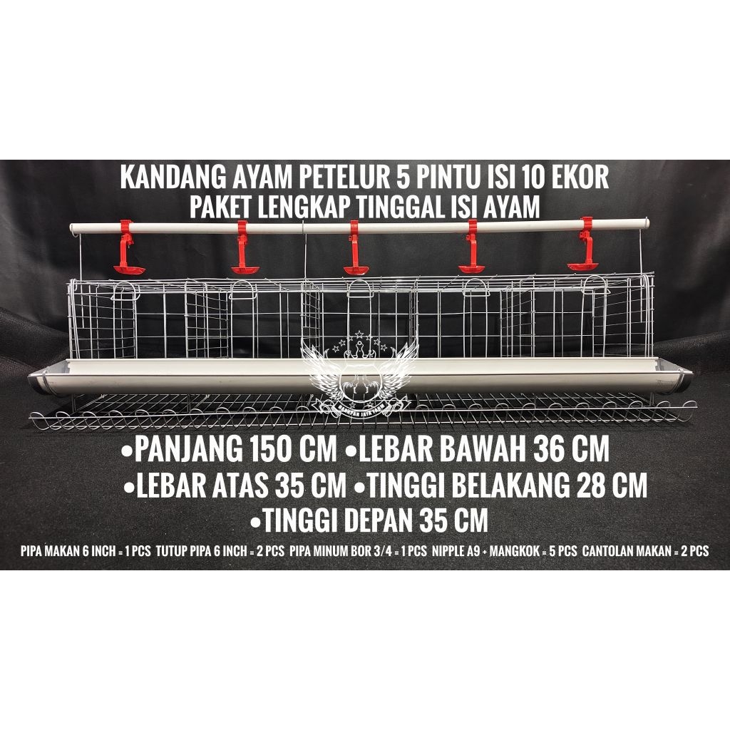 KANDANG AYAM GALVANIS PAKET LENGKAP LAYER AYAM PETELUR PINTU 5 ISI 10 EKOR