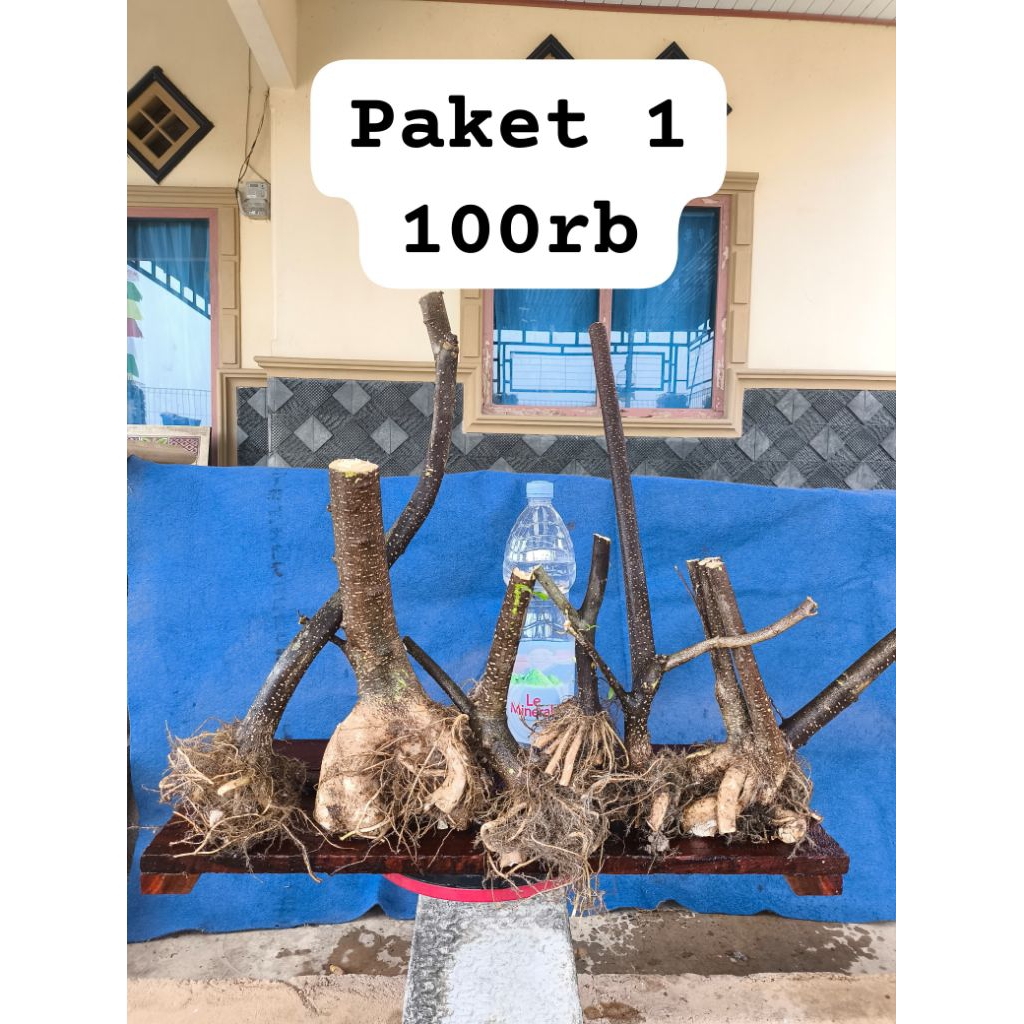 anting putri prokar murah