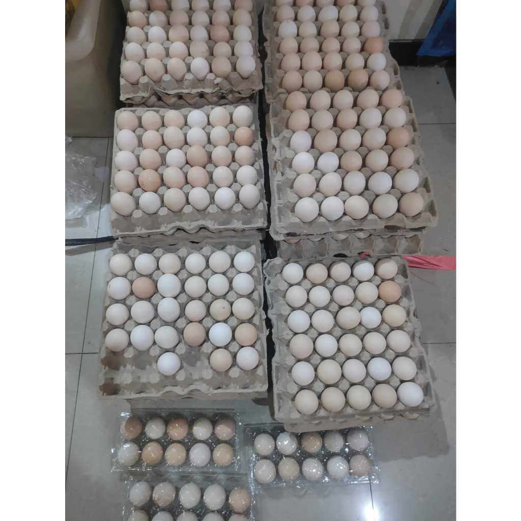 

Telur Ayam kampung Asli