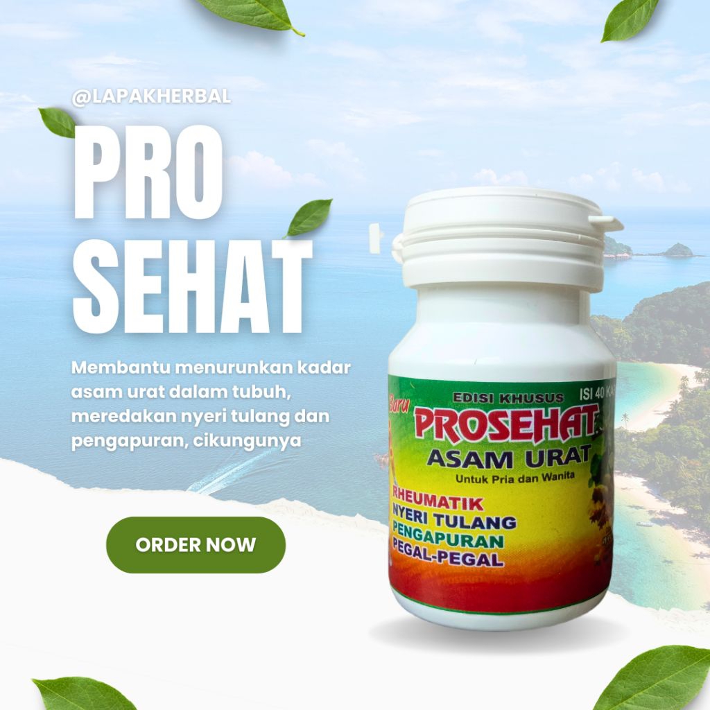 Prosehat asam urat rheumatik nyeri tulang pengapuran pegal-pegal herbal demam original edisi khusus 