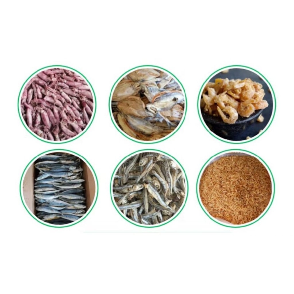 

Aneka Ikan asin 100 gr