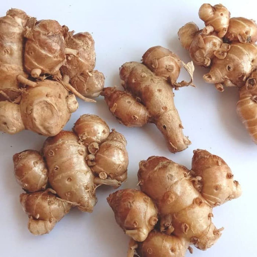 

Kencur/Cikur Kencur Bumbu Dapur Kencur segar organik per 1kg