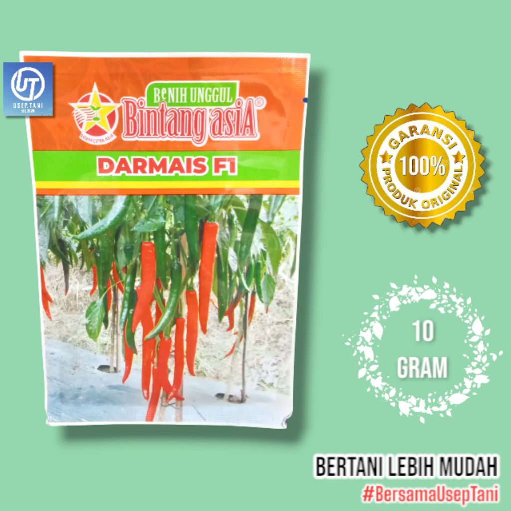 BENIH CABE MERAH BESAR DARMAIS F1 10GR BINTANG ASIA