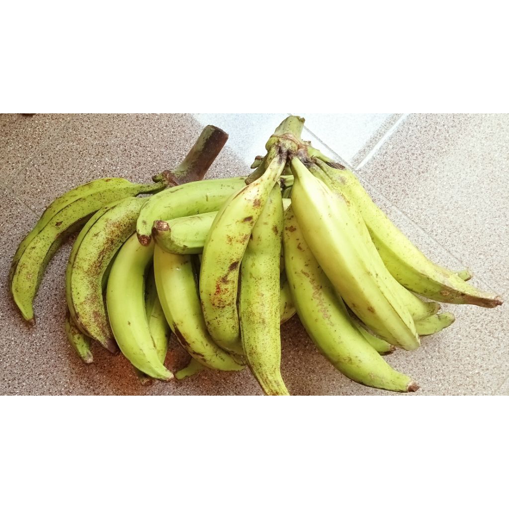 

pisang tanduk/byar