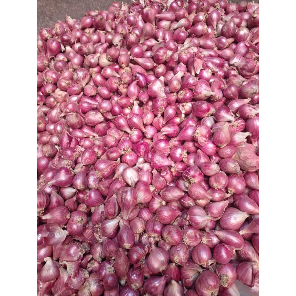 

ALIBANU Bawang Merah 500 Gram JUMBO