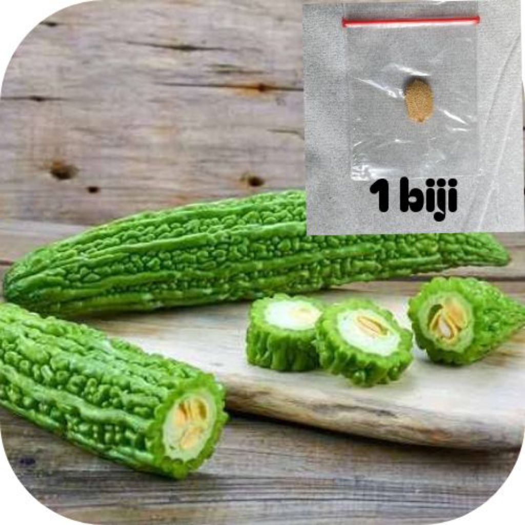 

ready biji pare hijau berkualitas isi 1