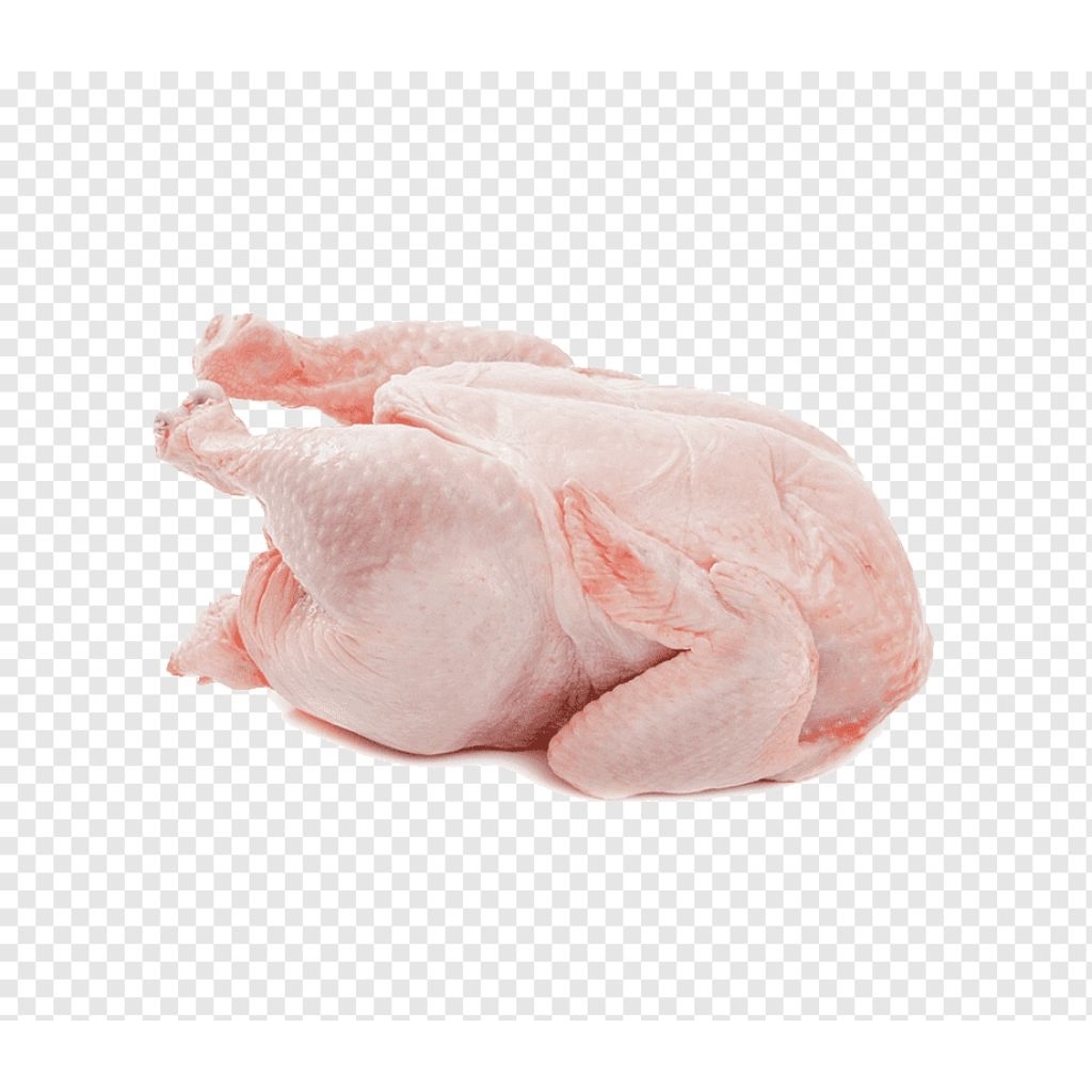ayam utuh berat 1,5kg