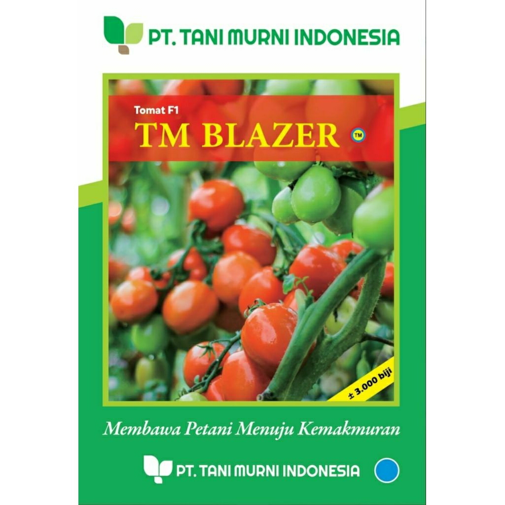 Benih tomat f1 TM BLAZER 3000biji