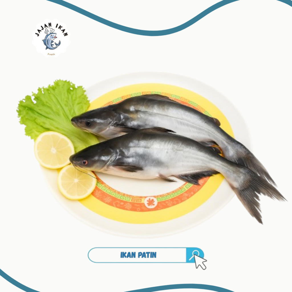 

Ikan Patin [JAJAN IKAN] ikan patin besar isi 2-3 perkg