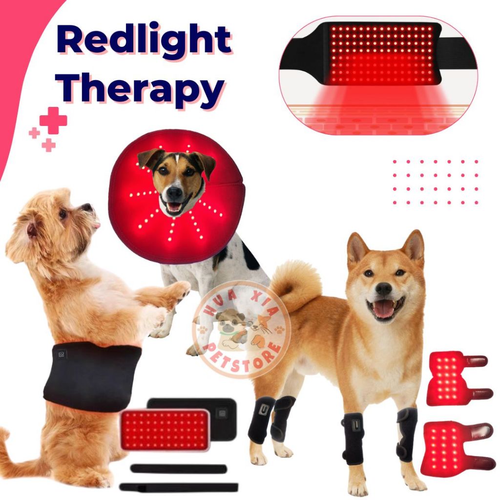 REDLIGHT THERAPY for PETS - Sabuk/Collar/Kaki - Terapi Infra Red & Red light Pain-Relief-Syaraf-Keje