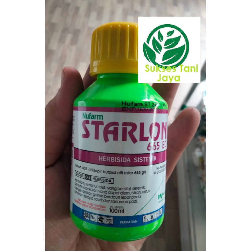 Starlon herbisida, obat pembasmi pohon dan akar, racun pohon