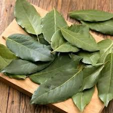 

Daun Salam Segar Packing | Daun Manting | Bay Leaf | Daun Rempah