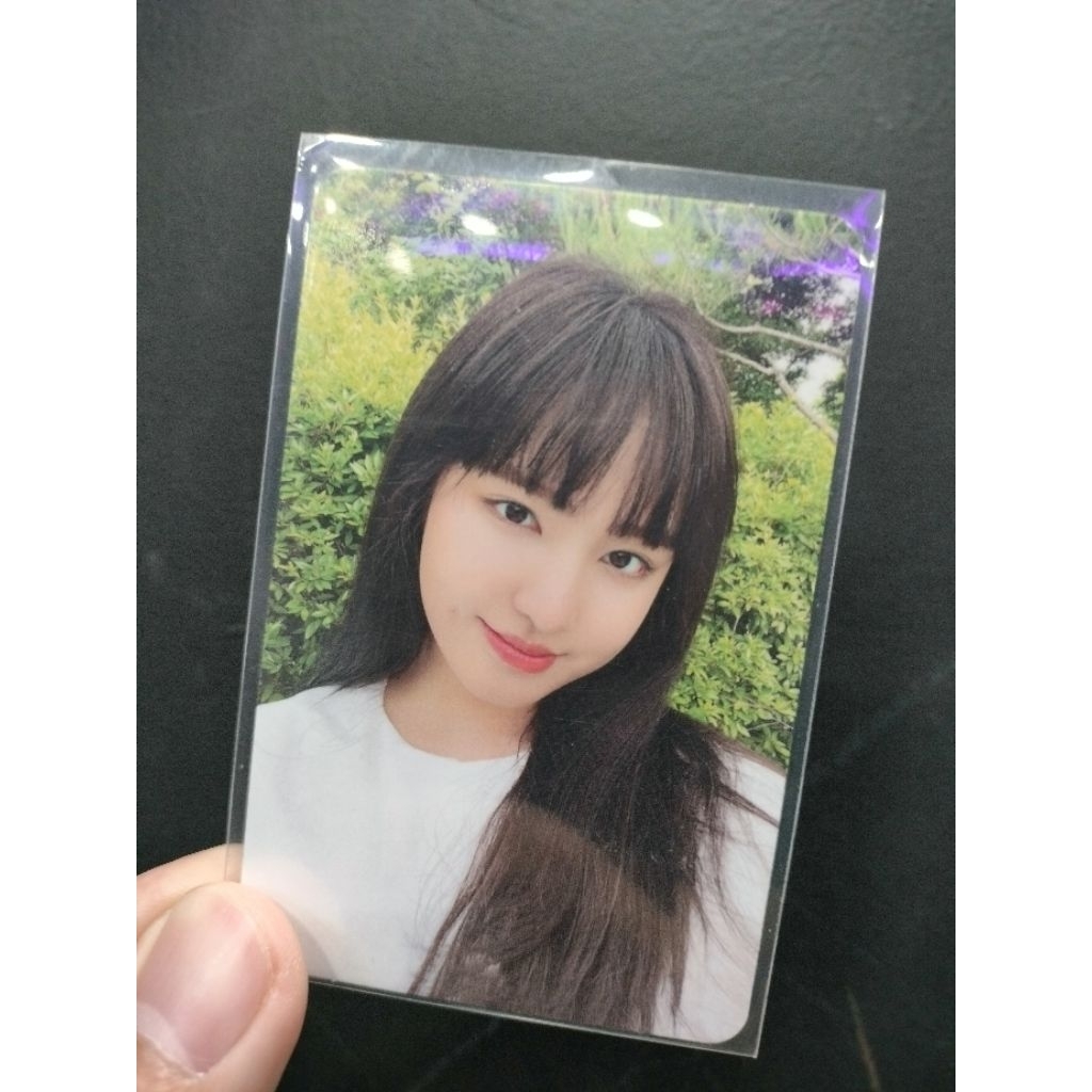 PC photocard LIZ IVE official