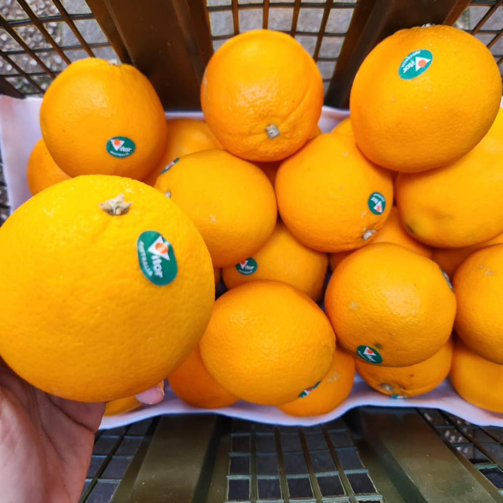 

Jeruk Navel Orange 1kg Import Australia / China Tanpa Biji Seedless