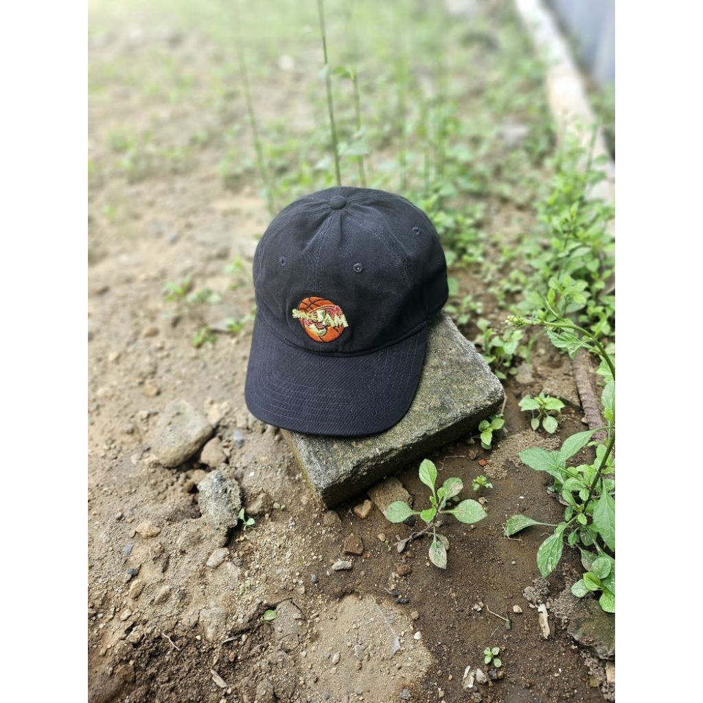 Space Jam Cap