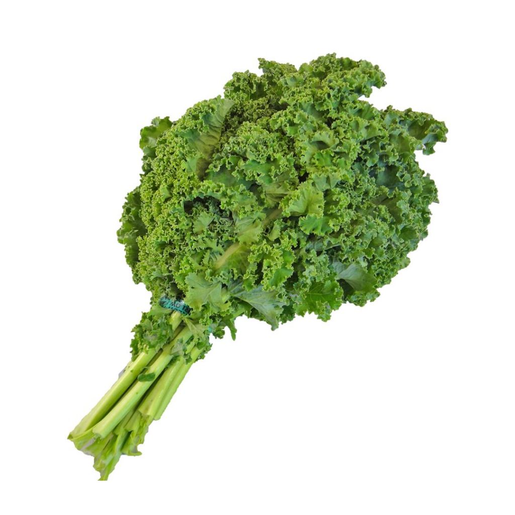 

Kale Curly Segar – Superfood Sayur Kale 1kg / 250gr Sayur Salad