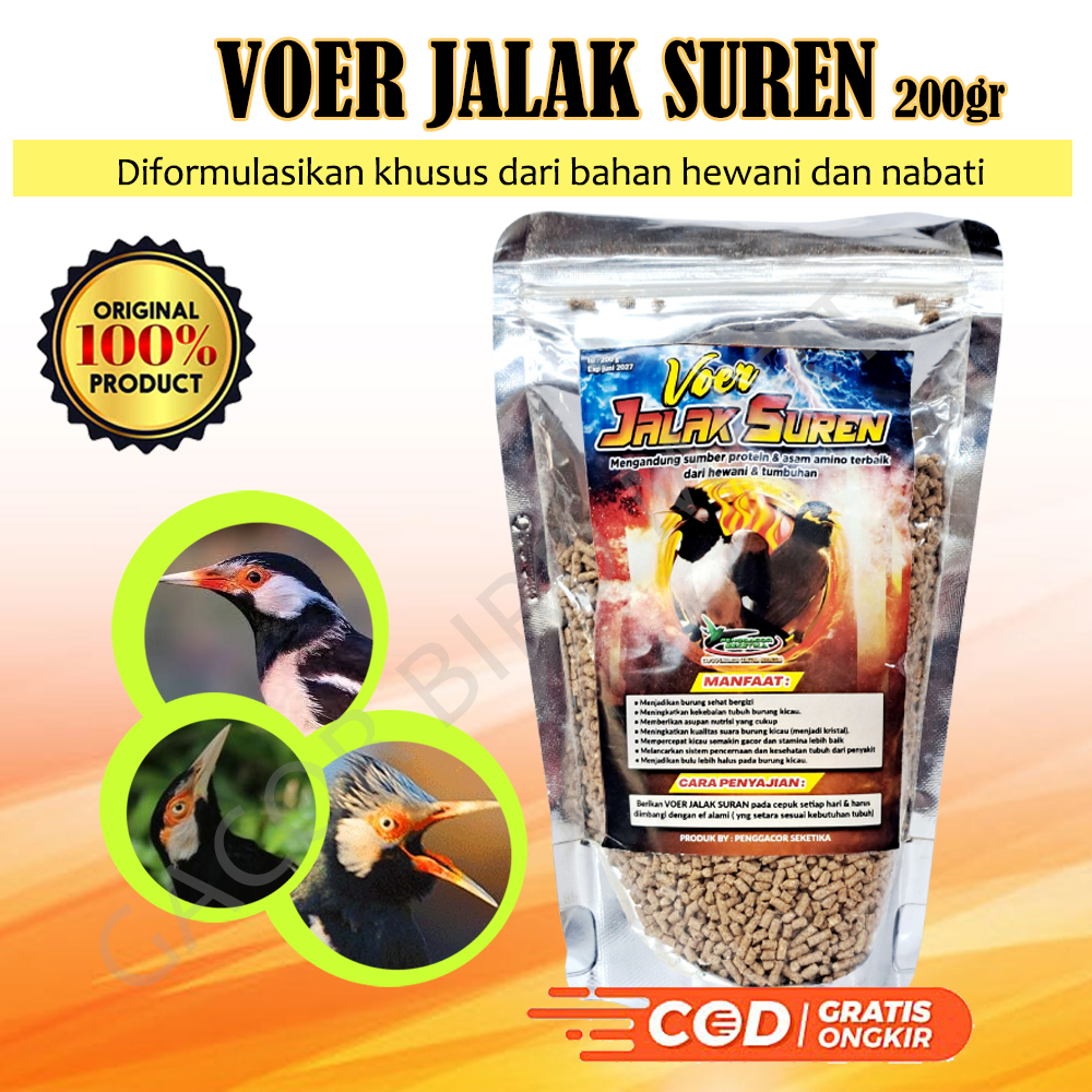 Voer Pakan Jalak Suren Penggacor Burung Makanan pakan burung jalak suren