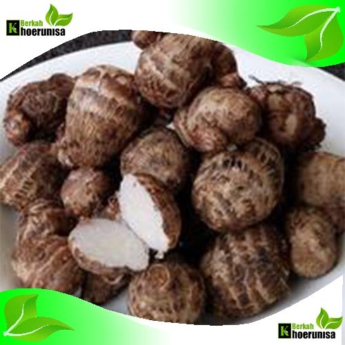 

Umbi Talas kimpul pulen empuk segar 1 kg