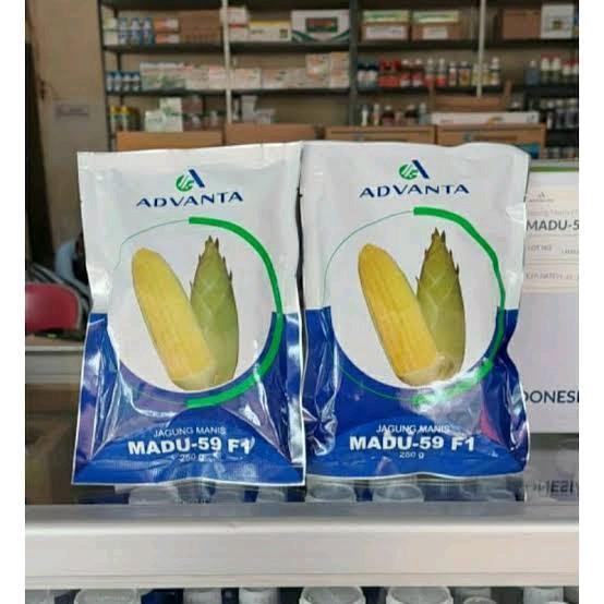 

TOP[ SALE !!! Benih jagung manis Advanta Madu 59 F1 isi 250 gram ORIGINAL asli kemasan pabrikk