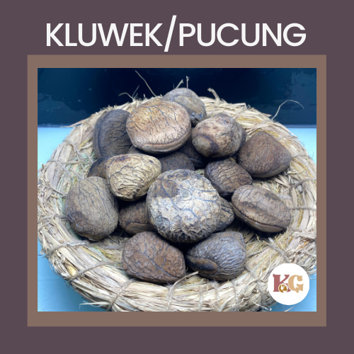 

TERMURAH KUALITAS Kluwek/Pucung Bumbu Masak Rempah 250gr