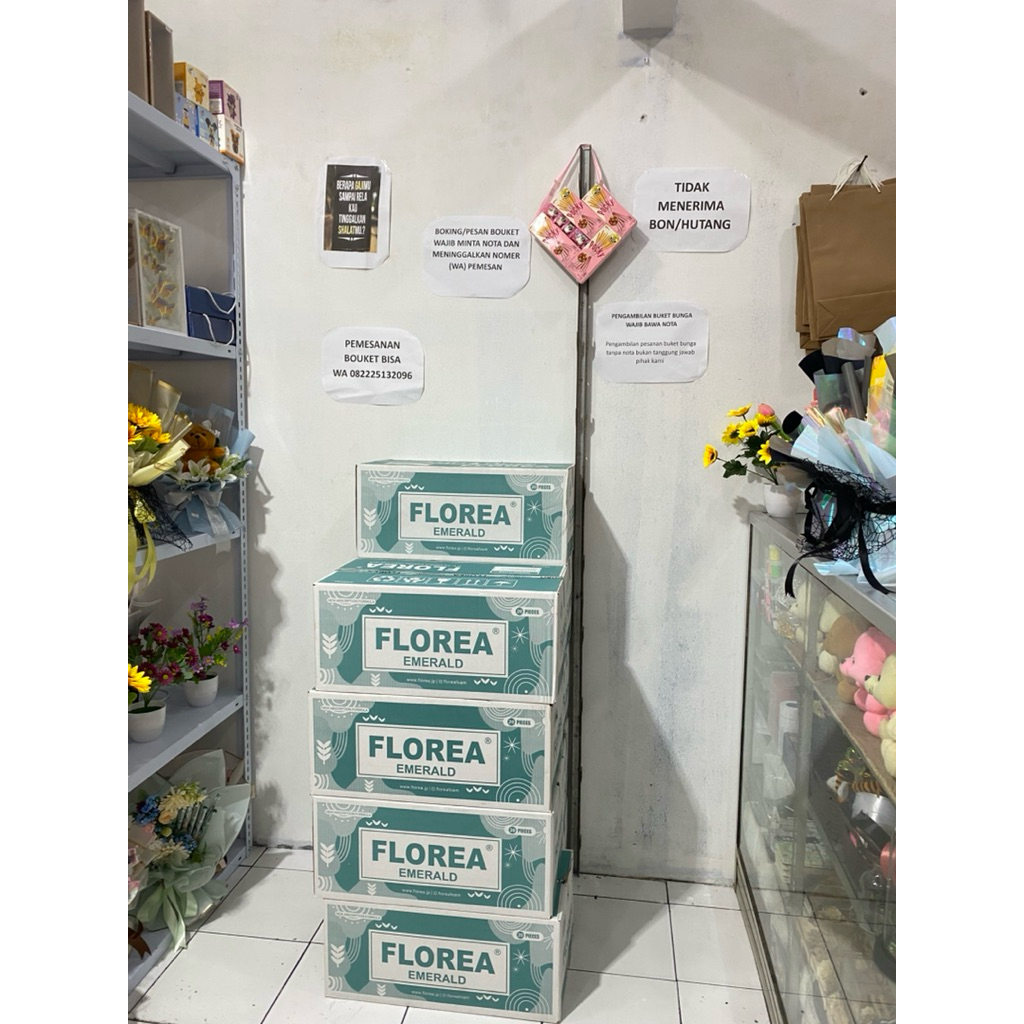 OASIS FLOREA, OASIS BASAH