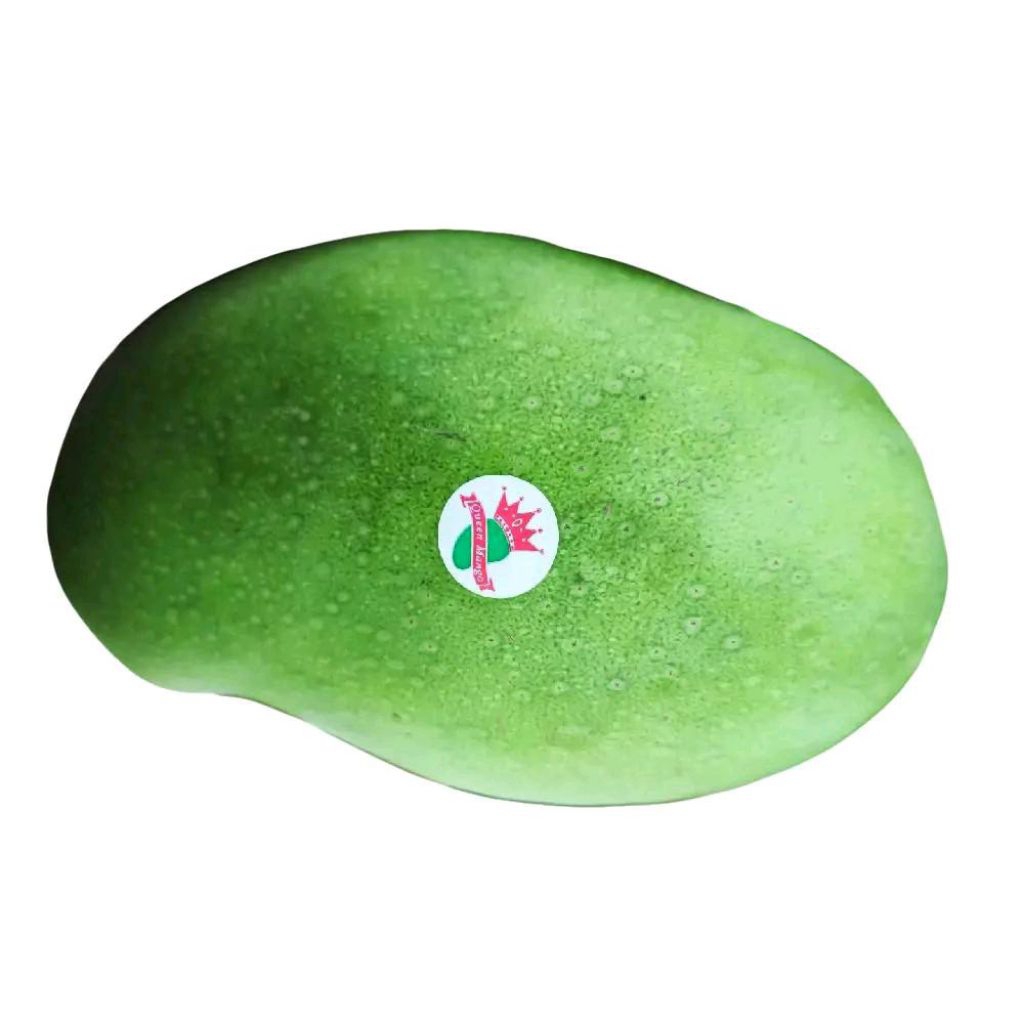 

Buah mangga Queen mango manis matang pohon super 1 kg