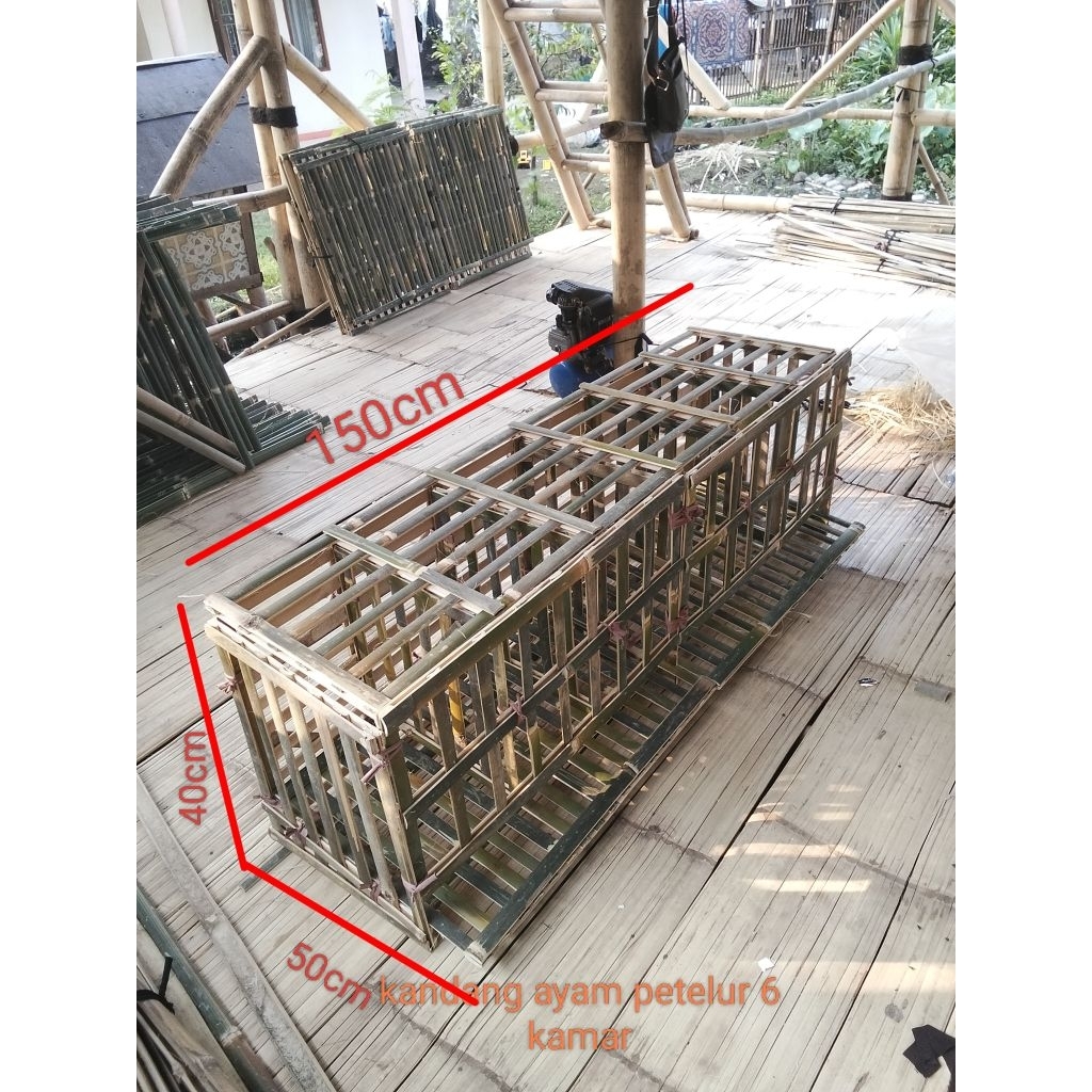 KANDANG AYAM PETELUR BONGKAR PASANG SITEM BATRE DARI BAMBU