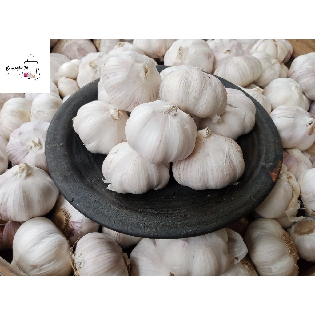 

Bawang putih sinco lokal