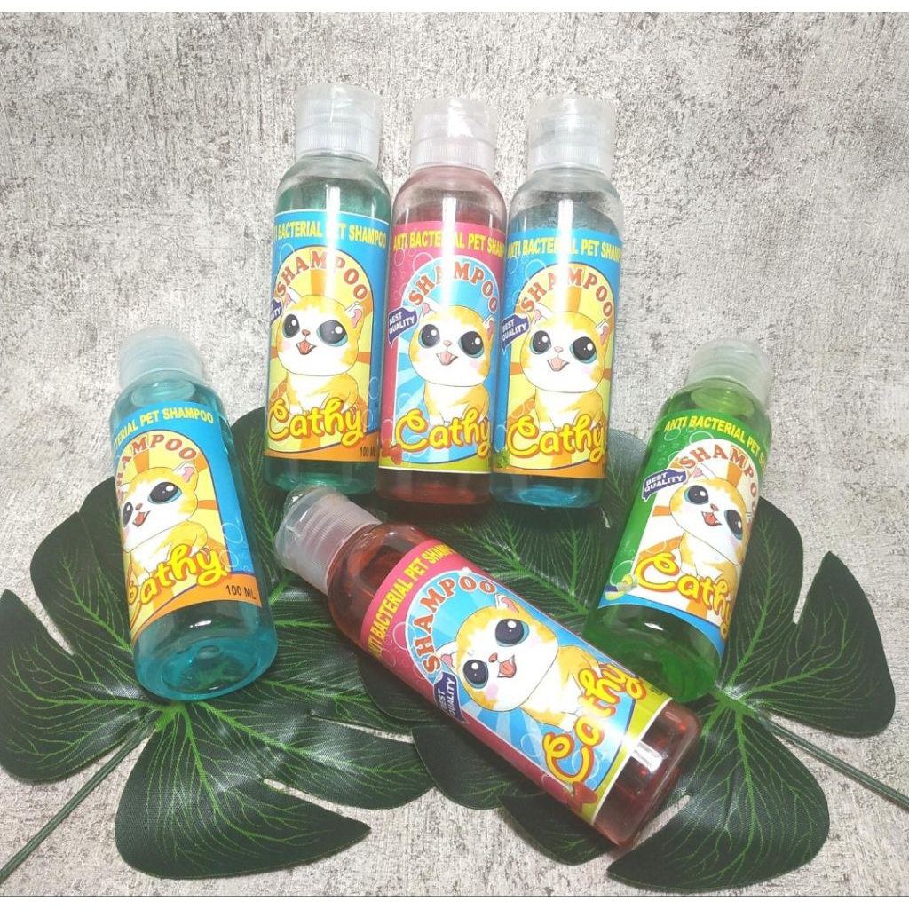 Sampo baby kucing musang marmut hewan lainnya