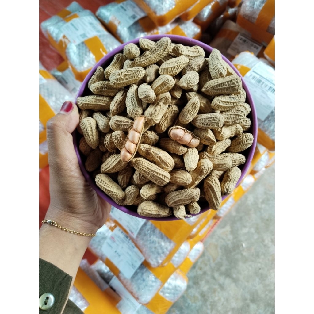 

KACANG KULIT SANGRAI ORIGINAL BENDO 500 GRAM