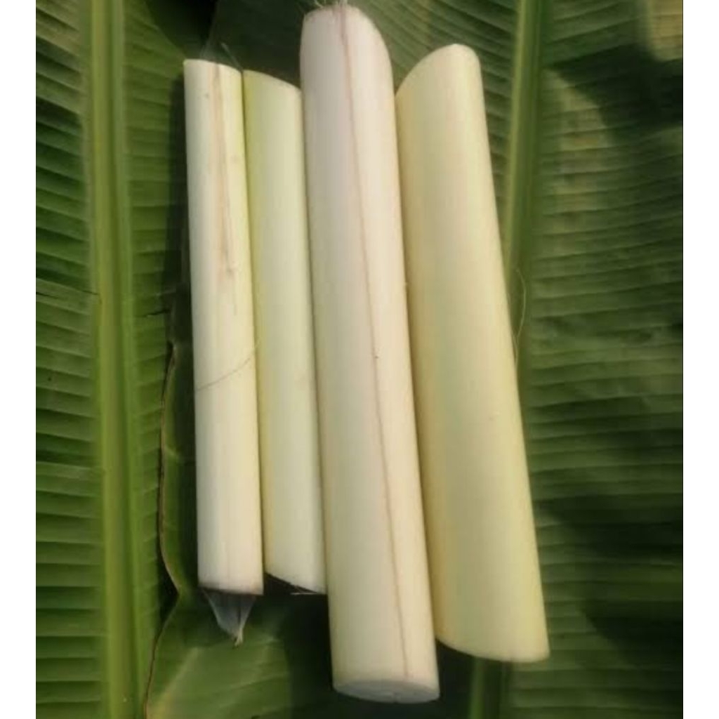 

Batang Pisang Klutuk Muda Fresh Premium