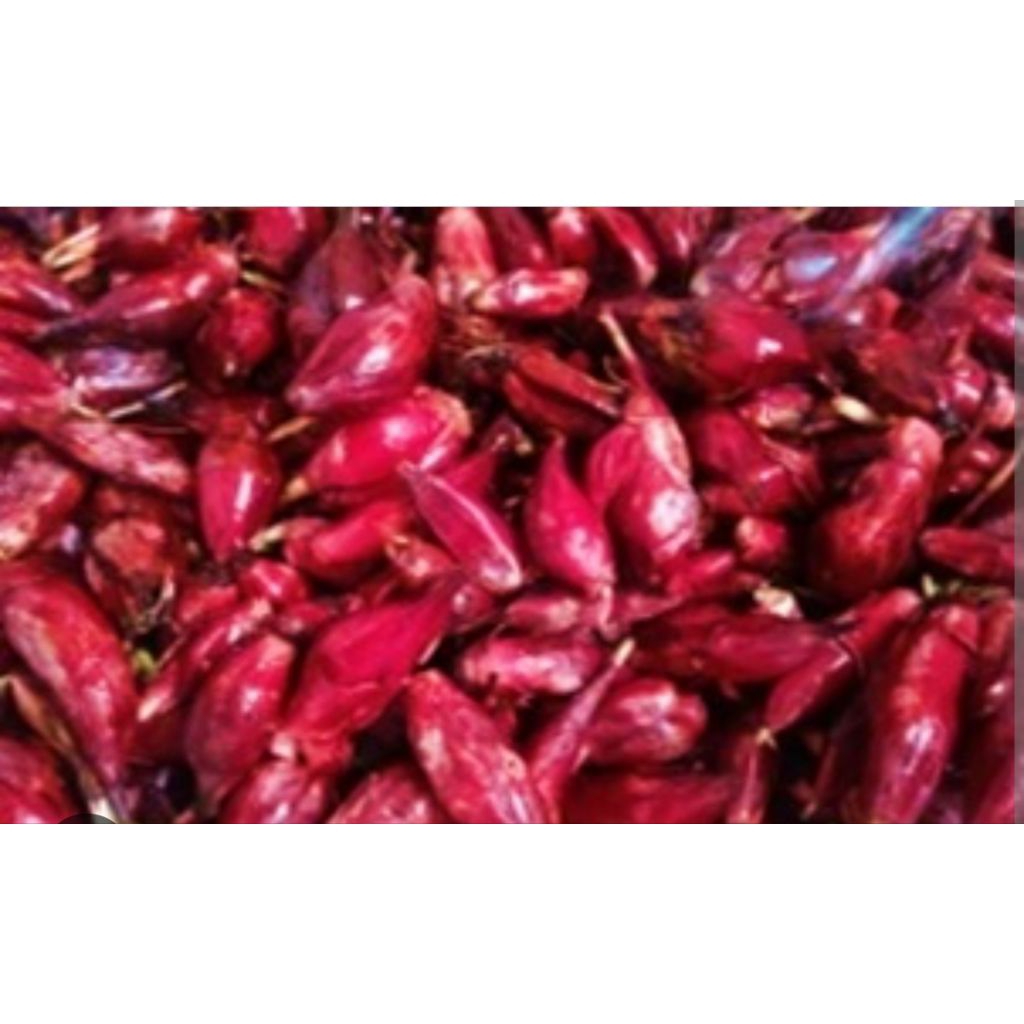 

bawang Dayak tanpa daun 500gr