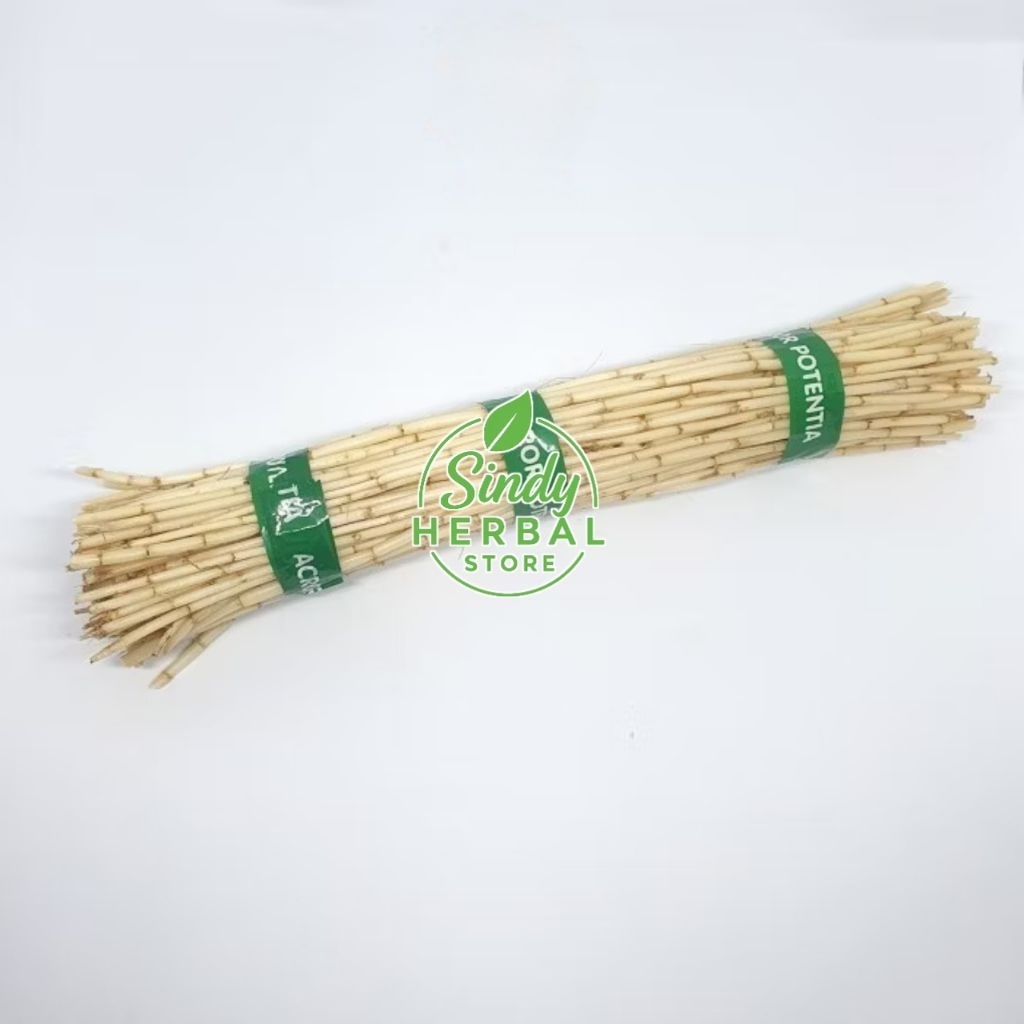 

Akar Alang Alang Segar 250 Gram Alami Organik Fres