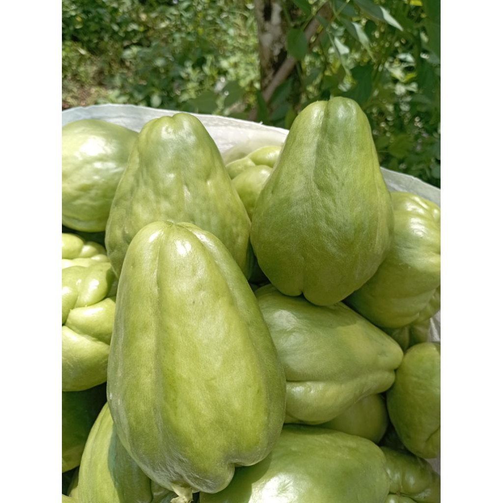 

Labu Siem 1kg Fresh Langsung Petani