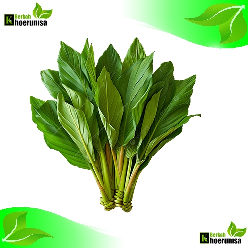 

Daun lengkuas segar 500 gram herbal alami fresh