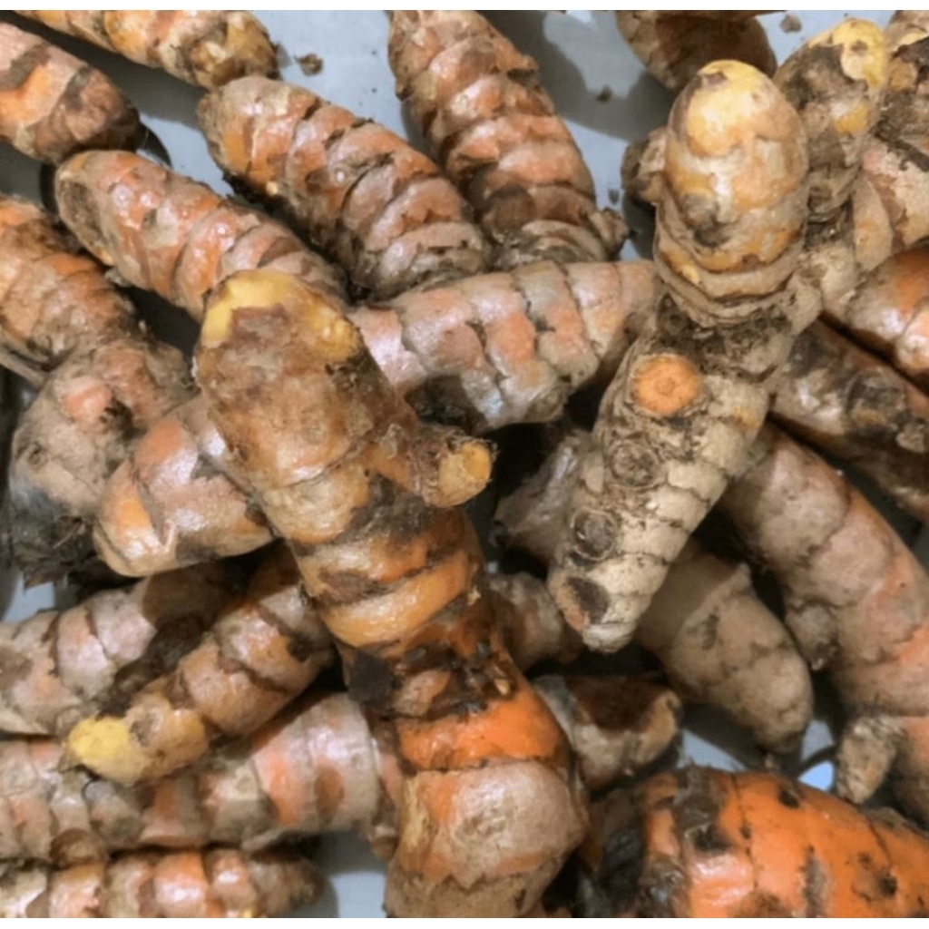 

1 kg Kunyit_kualitas super_petani langsung_harga bersahabat