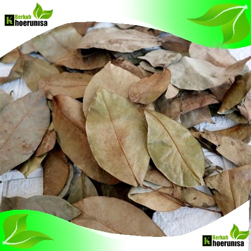 

Daun Sirsak Kering 100 gram herbal alami kering alami