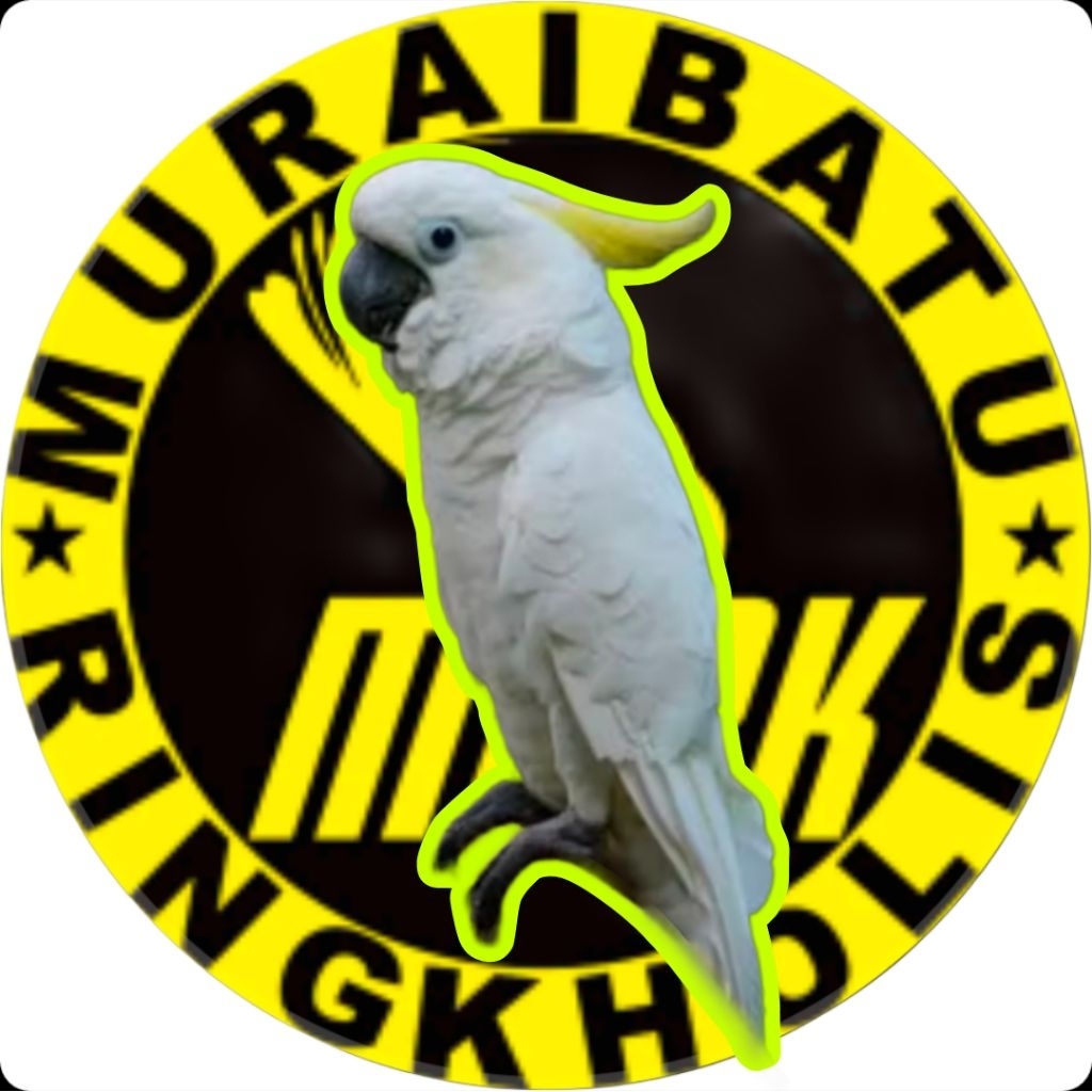 

PROMO 2 TELUR FERTIL BEO JAMBUL KUNING SIAP TETAS