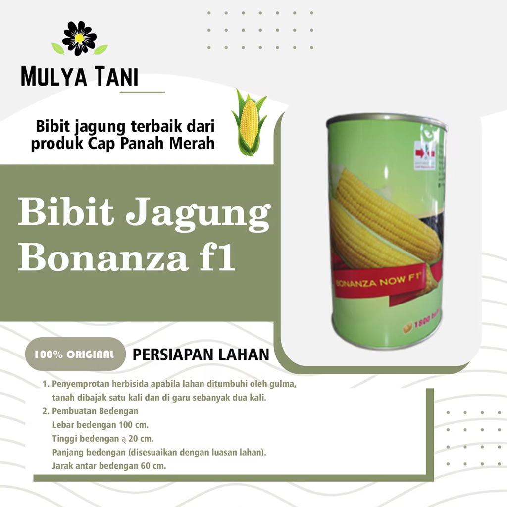 

termurah jagung manis BONANZA F1