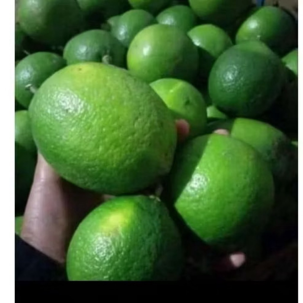lemon california 1kg
