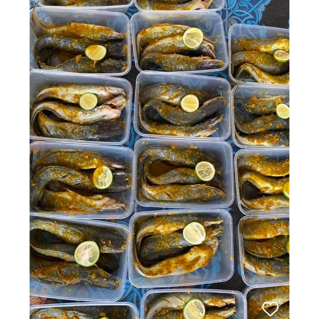 

Lele Marinasi Bumbu Kuning