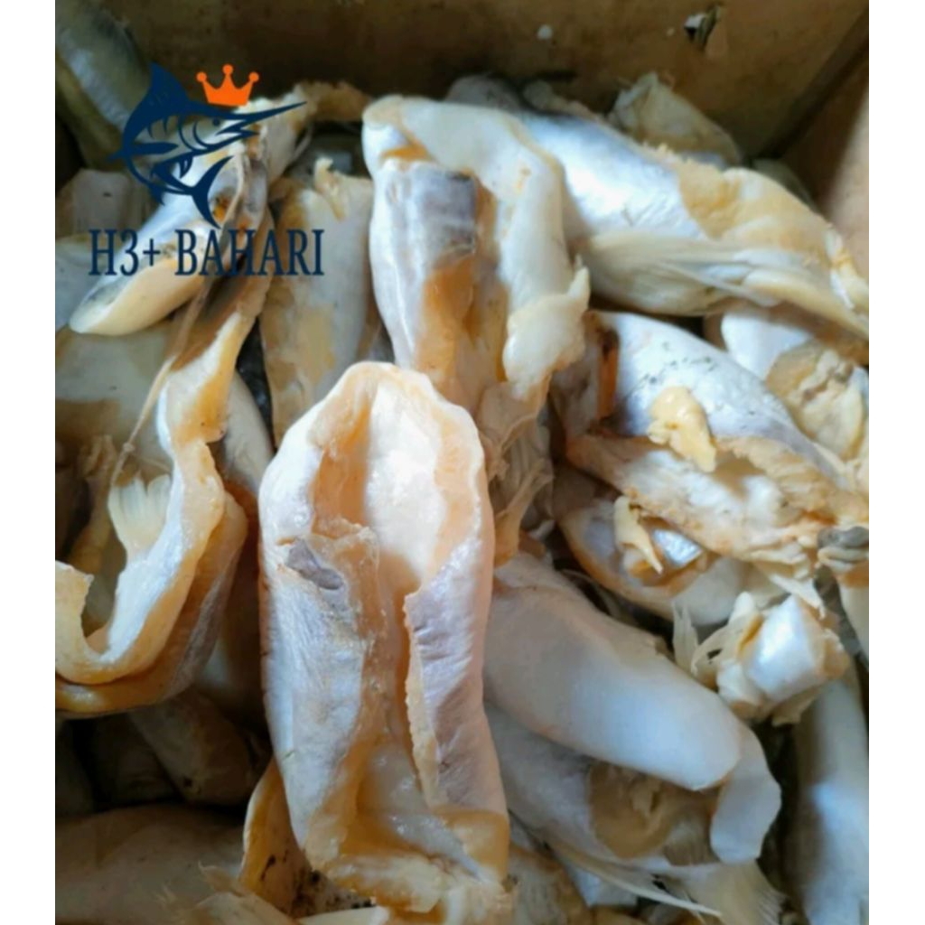 

IKAN ASIN PERUT IKAN PATIN MURAH KWALITAS SUPER