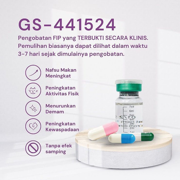 Obat FIP Kucing - Obat FIPV Kucing - Basmi FIP Indonesia