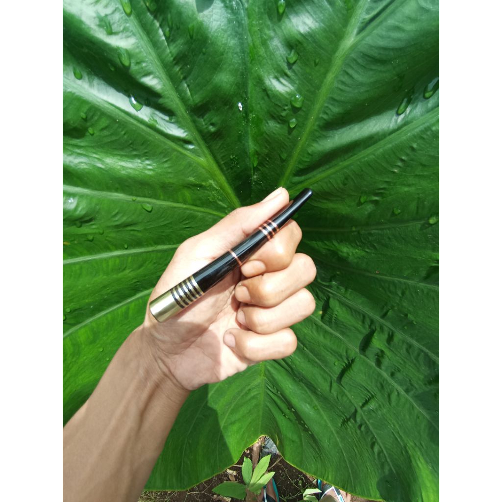 pipa kayu galih asem.